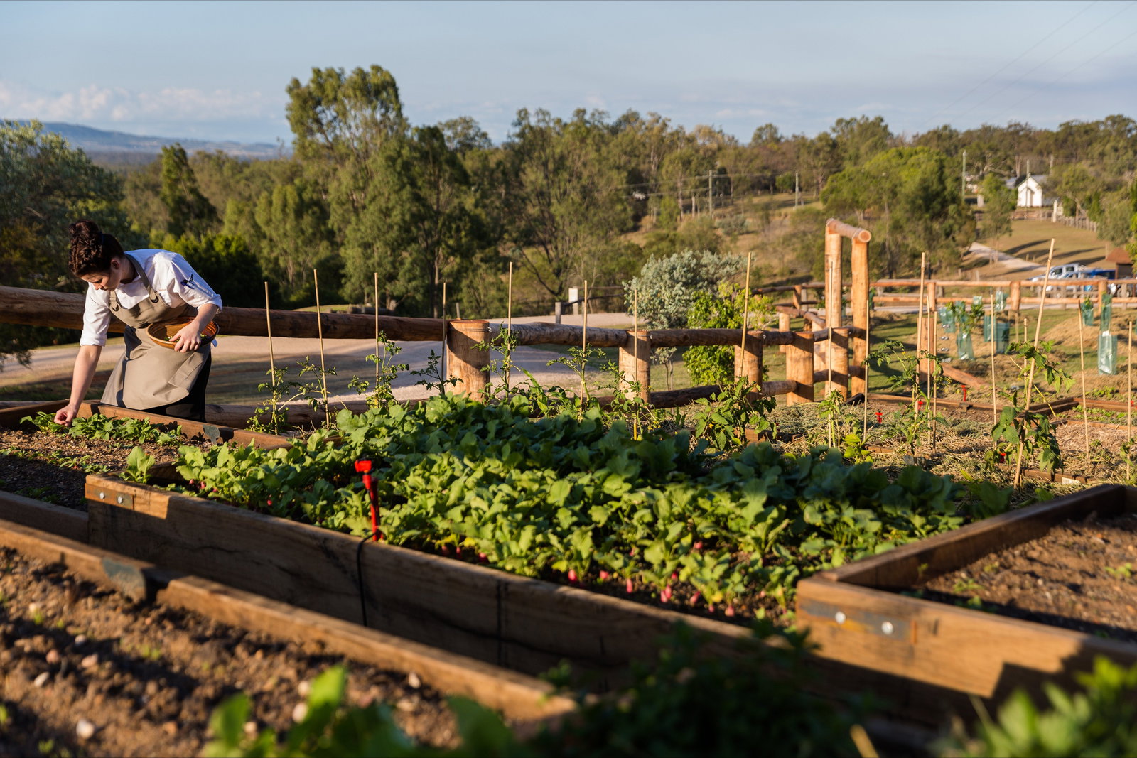 Grandchester QLD Renee