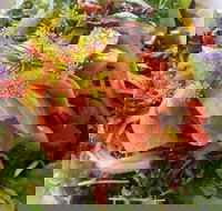 Thurlby Herb Farm Cafe - Internet Find