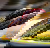 Griffith Exies Club - Renee