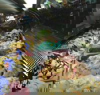 Sweetness Your Lolly Shop and Gelato - Qld Realsetate