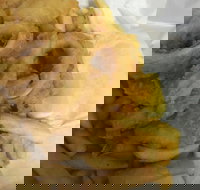 Captain Bream - Renee