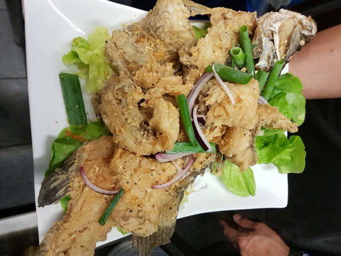 DoiTung Thai - Internet Find 0