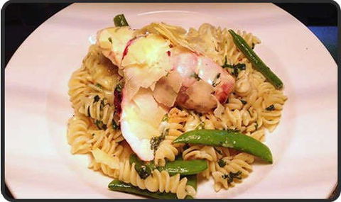 Spotty Cat - Renee 0