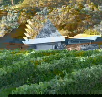 Two Bud Spur Vineyard
