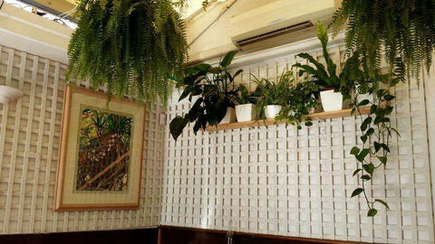 Plane Tree Cafe - Renee 0