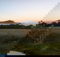 Mountainside Wines - Internet Find