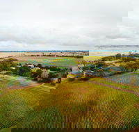 Pettavel Wines - Renee