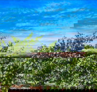 Rowsley Fault Vineyards - Renee