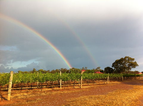 Sandhurst Ridge - Renee 2