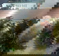 Fork n Knife My Little Deli - Petrol Stations