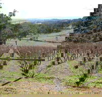 Habitat Vineyard - Qld Realsetate