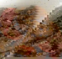 Pastacup - Kwinana Town Centre - Renee