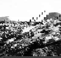 Ballabourneen Wine Co - Renee