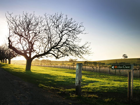 Clos Clare - Qld Realsetate 2