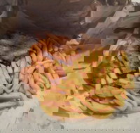 Belmont Village Fish  Chips - Renee