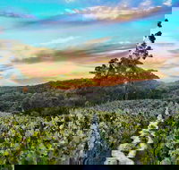 Between the Vines Cellar Door - Internet Find