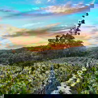 Between the Vines Cellar Door
