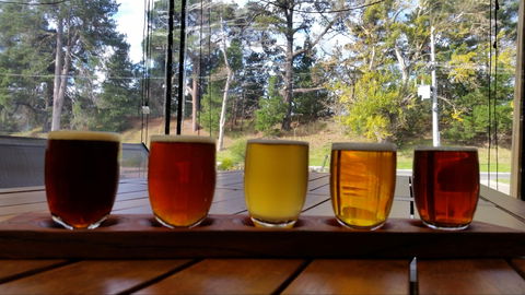 Cubby Haus Brewing - Brewery And Bar - Qld Realsetate 1