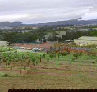 Villa d Esta Vineyard - Internet Find