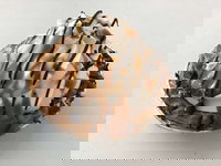 Oven Door Bakery Cafe Drover