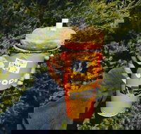 Utopia - Booragoon - Swimm
