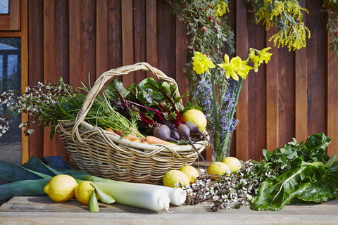 O'Reilly's Orchard - Renee 1