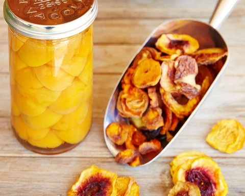 O'Reilly's Orchard - Renee 2