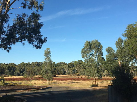 Junee Motor Inn - Qld Realsetate 24