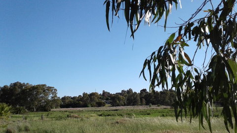 Junee Motor Inn - Qld Realsetate 8