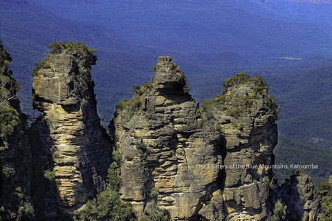 Rest Easy Motel - Swimm 44