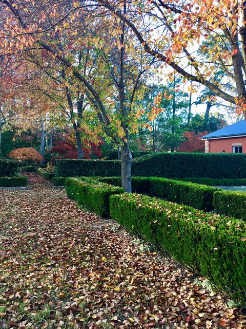 Chanticleer Gardens - Internet Find 37