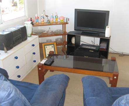 SOS Cleaning - Renee 3