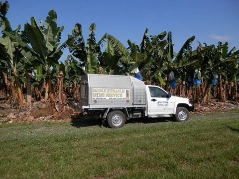 Pacific Fasteners & Hydraulics Pty Ltd - Renee 0