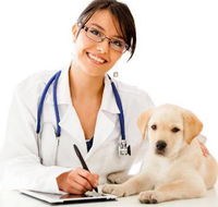 HIGHLANDS VETERINARY GROUP - Renee
