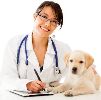 HIGHLANDS VETERINARY GROUP - Renee 0