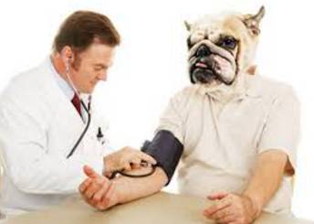 HIGHLANDS VETERINARY GROUP - Renee 2