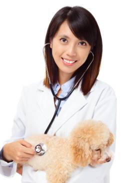 HIGHLANDS VETERINARY GROUP - Renee 3