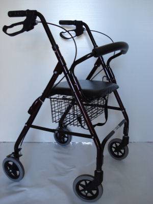 Totally Mobile - Renee 4