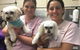 Maraboon Pet Resort - thumb 1