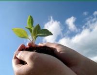 Vital Spirit Natural Health - Petrol Stations 0