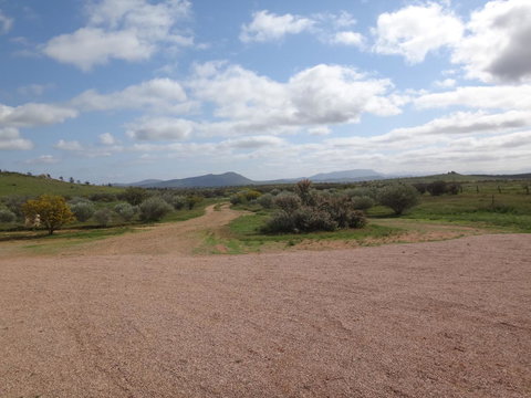 Windana Cottages - Renee 37