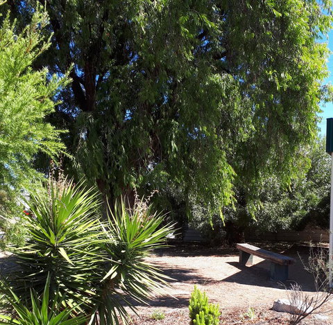 Bordertown Motel - Renee 4