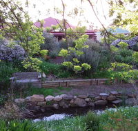 Frog Song at Willunga - Renee