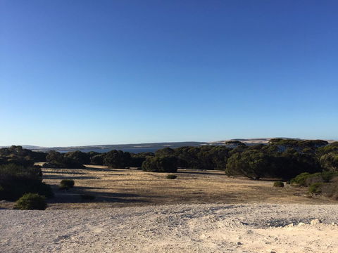 Wallaby Retreat - Internet Find 1