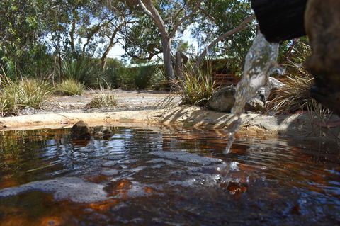 Kangaroo Island Wilderness Retreat - Internet Find 25
