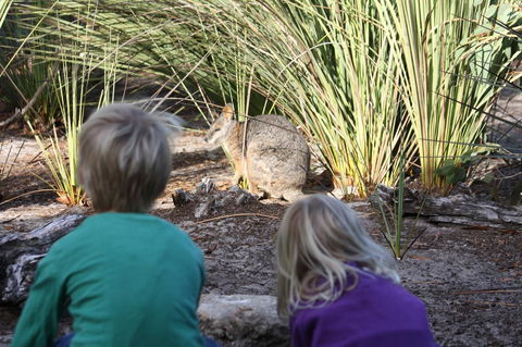 Kangaroo Island Wilderness Retreat - Internet Find 30