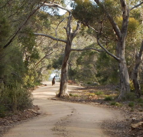 Kangaroo Island Wilderness Retreat - Internet Find 22
