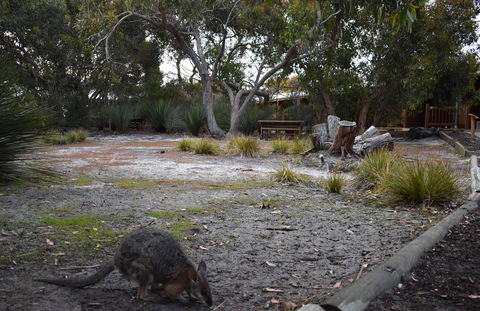 Kangaroo Island Wilderness Retreat - Internet Find 1