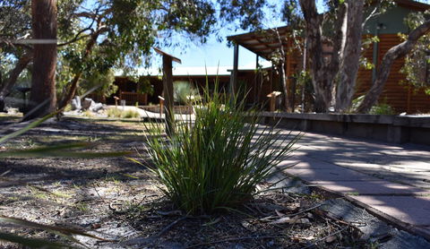Kangaroo Island Wilderness Retreat - Internet Find 21