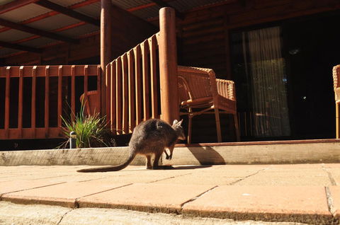 Kangaroo Island Wilderness Retreat - Internet Find 9